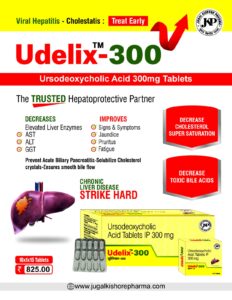 Udelix-300